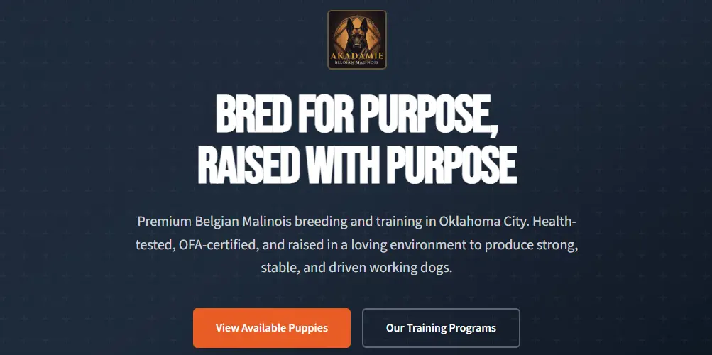 Breeder website header with custom logo, branded navigation links, and apply call to action.